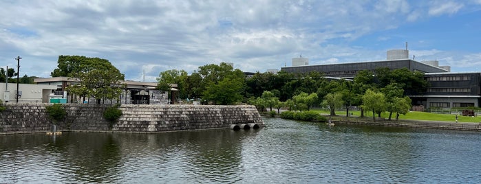 大地の池 is one of 公園.