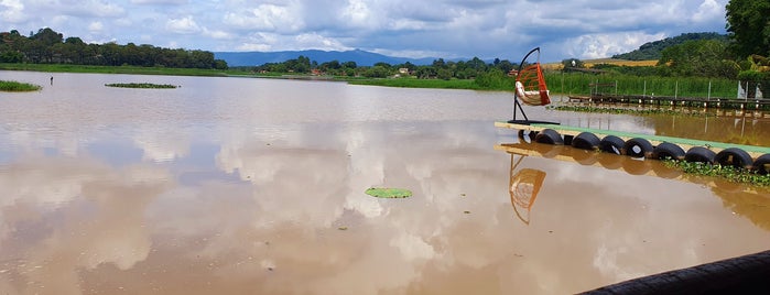 Frango D'Agua is one of Lugares que Van & Fê estiveram.