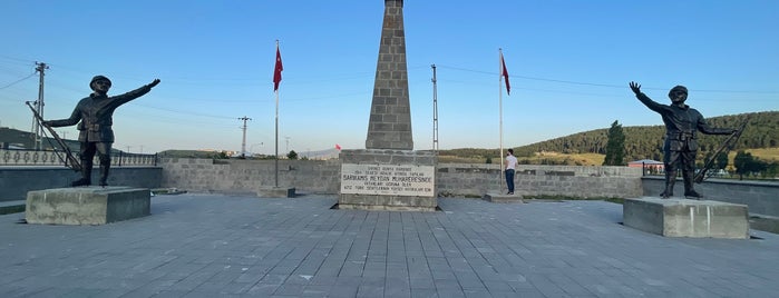 Yukarı Sarıkamış Şehitliği is one of ✔ Türkiye - Kars.