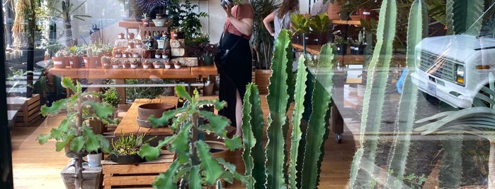 Plant Shop Chicago is one of Lugares guardados de Stacy.