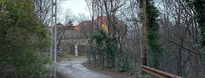 Kiscelli Parkerdő is one of Kedvenc helyek.