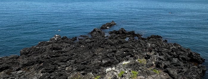 Dragon Head Rock (Yongduam) is one of Jeju Island.