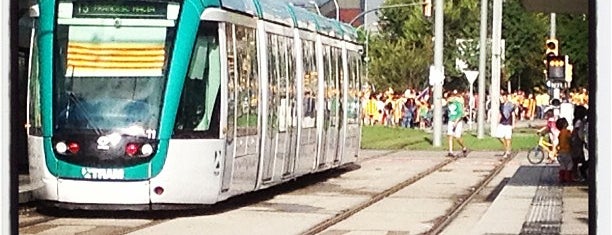 Tram T3 Sant Feliu | Consell Comarcal is one of Autoescuela : понравившиеся места.