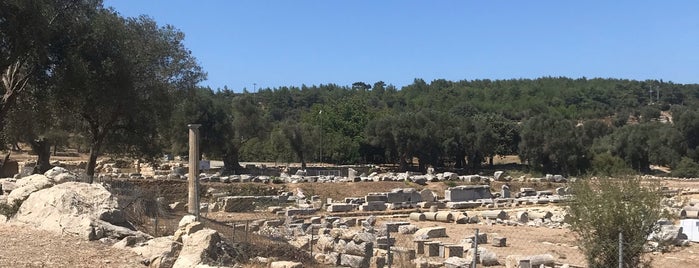 dionysos tapınağı is one of Tarihi Yerler.