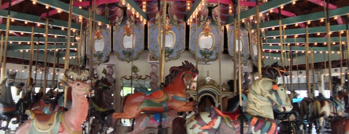 Forest Park Carousel is one of Kid Activities.