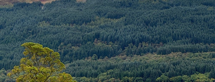 Loch Lomond is one of Plwm’s Liked Places.