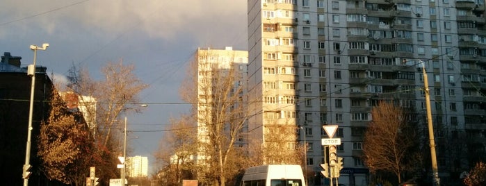 Остановка «Весенняя улица» is one of Наземный общественный транспорт (Остановки).