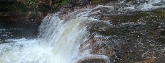 Kerosene Creek is one of New Zealand wish list.