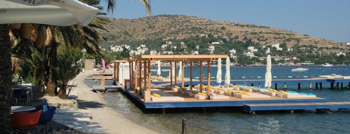 Flamm is one of Beaches in Bodrum.