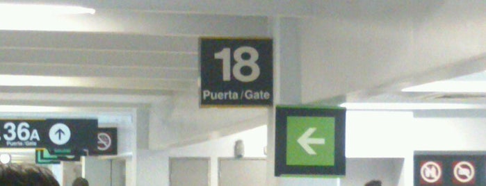Sala/Gate 18 is one of สถานที่ที่ Everardo ถูกใจ.