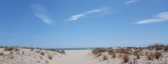 Playa de La Bota is one of La mejores playas de España.