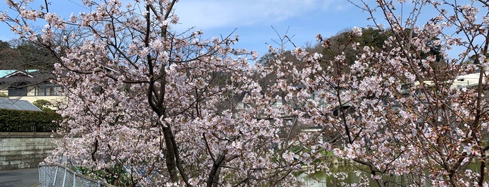 谷戸池 is one of 神奈川県の公園.