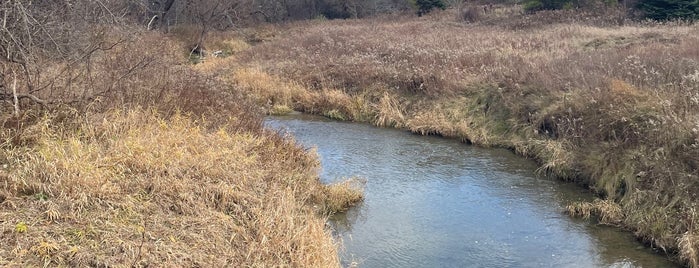 Humber Valley Heritage Trail is one of GTA non dining.