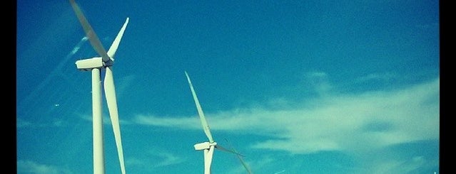 White Spinning Windmills is one of Palm Springs 2019.
