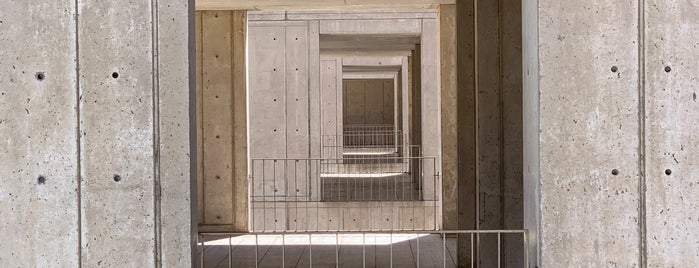 Salk Institute is one of sd (:.