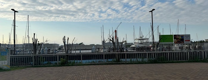 Tokyo Yumenoshima Marina is one of 荒川・墨田・江東.