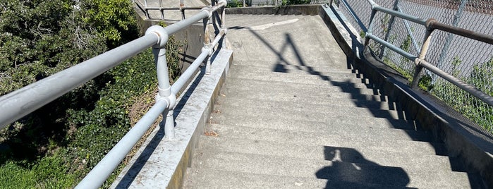 Top of the Larkin Street Stairs is one of สถานที่ที่ Adam ถูกใจ.