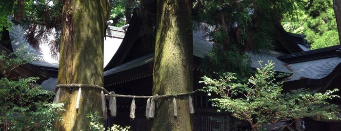 Takachiho-jinja Shrine is one of 星野之宣「ヤマタイカ」を歩く.