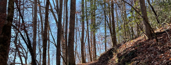 Deep Creek Trail is one of Nature - go explore!.