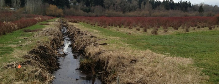 Mercer Slough Nature Park is one of Things To Do 2016.