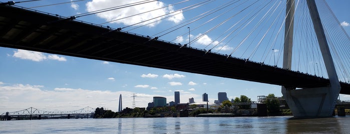 Stan Musial Veterans Memorial Bridge is one of St. Louis.