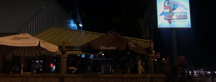 Island Jack's Patio Bar & Grill is one of JEMIKAL FUTCH.