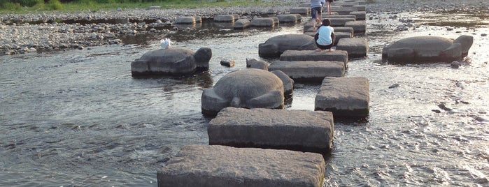 Turtle Stones is one of Kyoto.