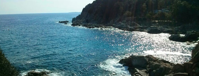 Lloret de Mar Beach is one of Nieko’s Liked Places.
