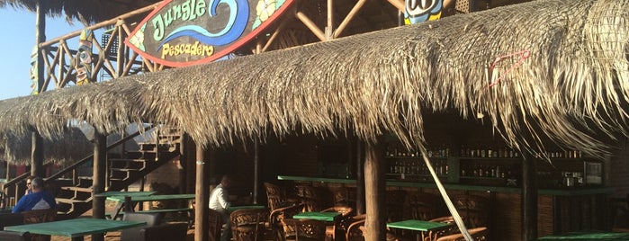 Jungle Bar is one of PoloX : понравившиеся места.
