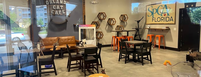 Orlando Cat Cafe is one of Orlando Craft Coffee.