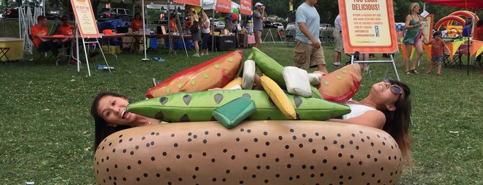 Chicago Hot Dog Fest is one of FOOD AND BEVERAGE FESTIVALS.