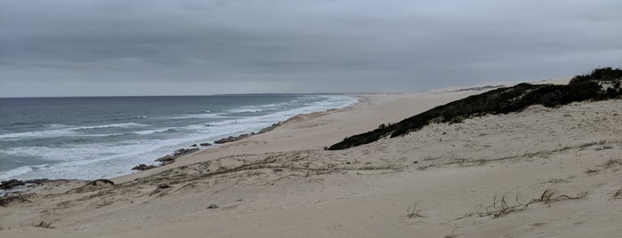 Dunes is one of South Africa (CPT - R62 - Addo - Garden Route).