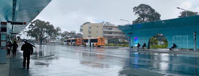 Monash University Bus Interchange is one of Transport.