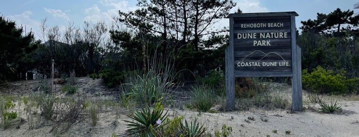 Dune Nature Park is one of DC/Mid-Atlantic to-do.