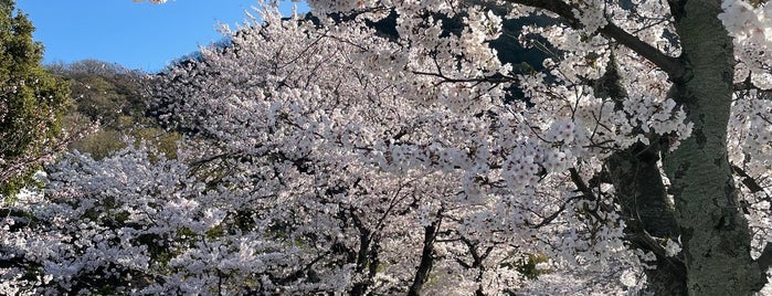 久松山 山頂 (鳥取城 天守櫓跡) is one of 鳥取.