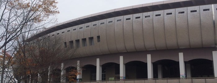 Toho Stadium is one of Jリーグスタジアム.
