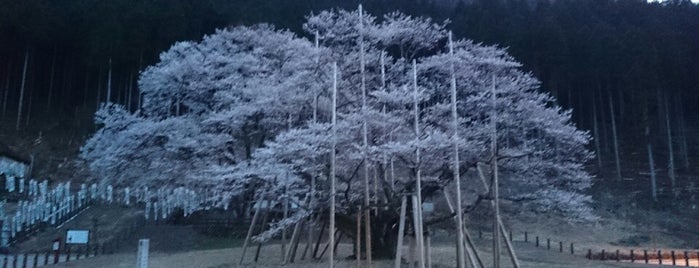 淡墨公園 is one of Posti che sono piaciuti a ばぁのすけ39号.