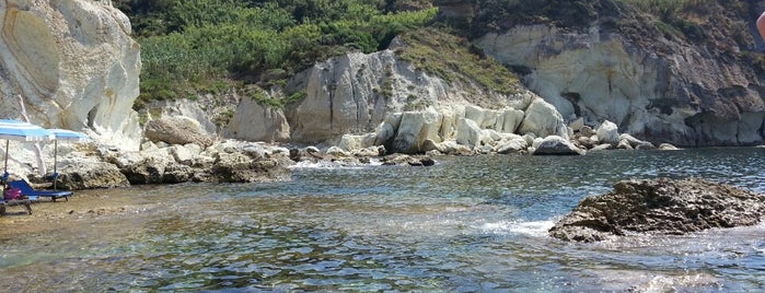 Cala cecata is one of WILD PINES SEA.