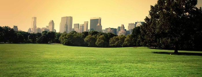 Central Park is one of Sightseeing spots and historic sites.