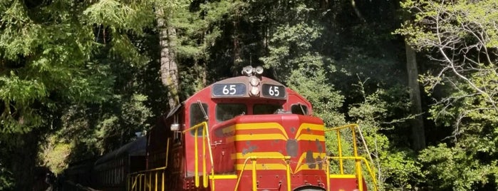 The Skunk Train is one of West Coast Road Trip.