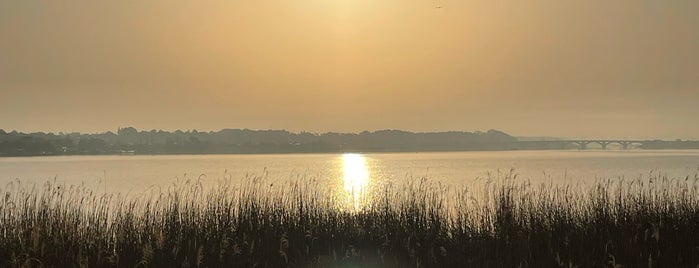 Lake Teganuma is one of 千葉に行ったらココに行く！ Vol.1.