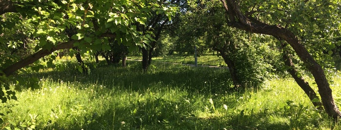 Яблоневый сад is one of Отдых.