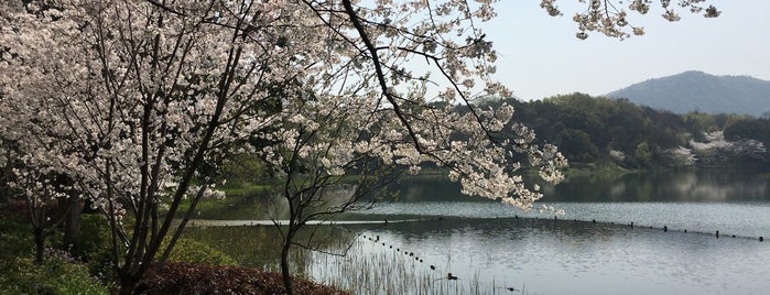 Yang Causeway is one of Kedaさんのお気に入りスポット.