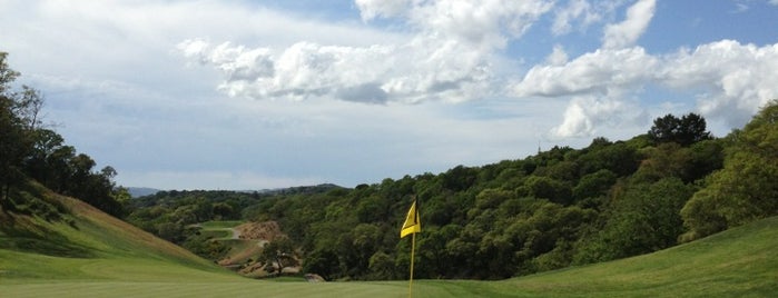 Stonetree Golf Club is one of Golf Courses I Have Played.