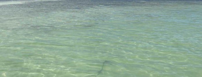 Islamorada Sand Bar is one of Favorite Places in the Florida Keys.