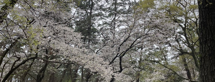 千本浜公園 is one of 思い出の場所.