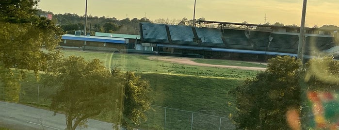 Hank Aaron Stadium is one of Minor League Baseball Stadiums.