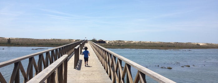 Ponte da Quinta do Lago is one of Férias.