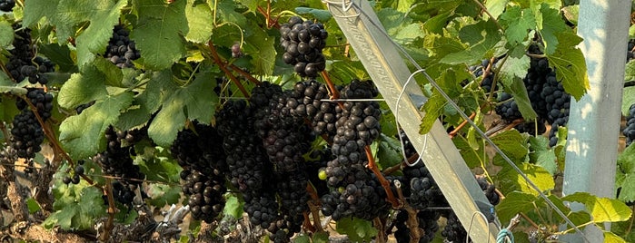GranMonte Vineyard and Winery is one of นครราชสีมา (เขาใหญ่).