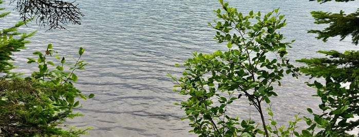 Isle Royale National Park is one of National Recreation Areas.